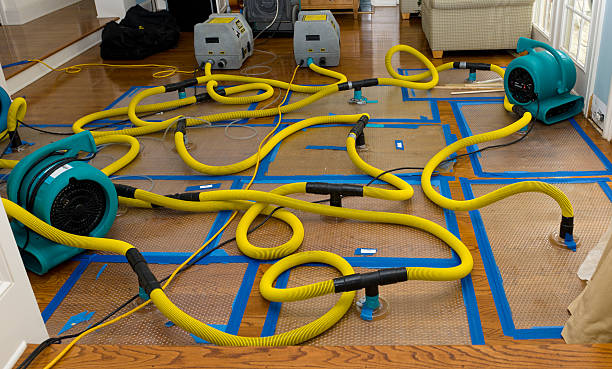 Professional Crawl Space Water Removal technician working in Erwin, NC